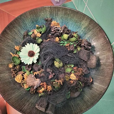 Careggi Garden * 피렌체