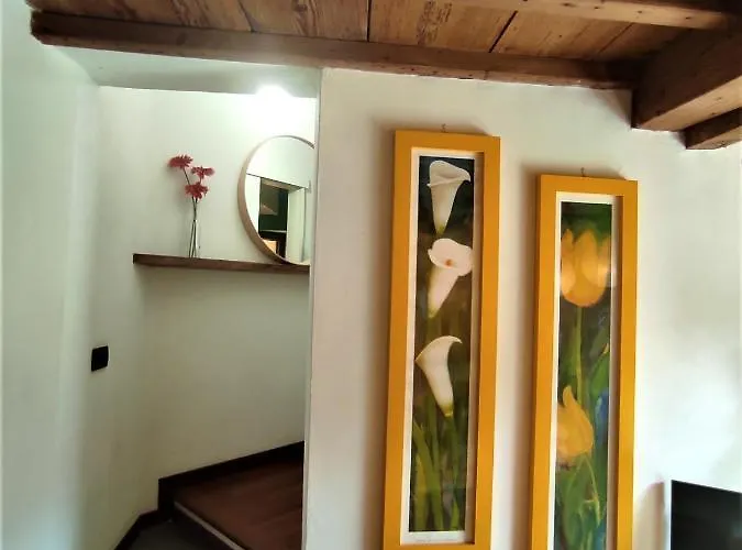 Careggi Garden * Флоренция
